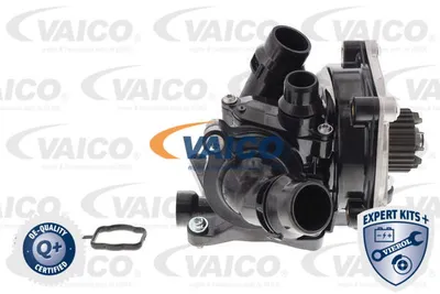 Kit de reparación, bomba de agua Vw JETTA IV · Vw BEETLE · Vw BEETLE Convertible