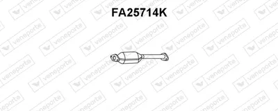 Catalizador Fiat PUNTO