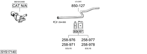 Sistema de gases de escape Citroën C4 PICASSO I MPV