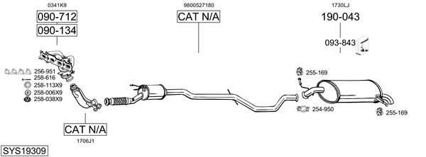 Sistema de gases de escape Peugeot 407