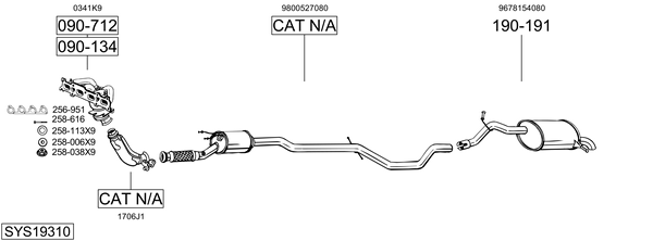 Sistema de gases de escape Peugeot 407