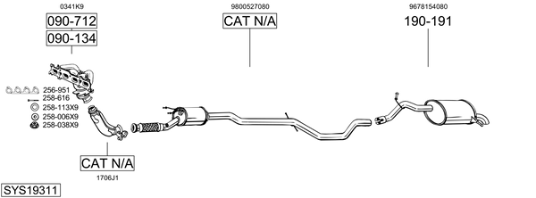 Sistema de gases de escape Peugeot 407 SW