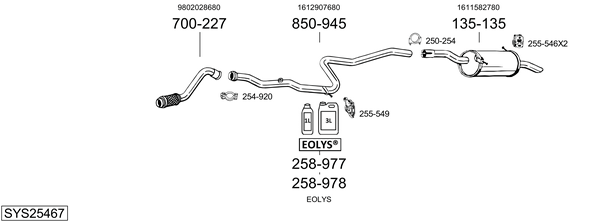 Sistema de gases de escape Peugeot PARTNER Box Body/MPV