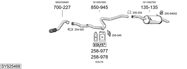 Sistema de gases de escape Peugeot PARTNER Box Body/MPV