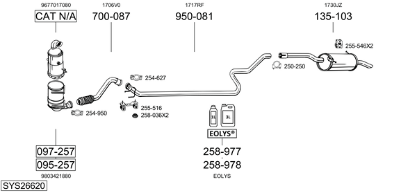 Sistema de gases de escape Peugeot PARTNER Box Body/MPV