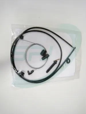 Cable del acelerador Renault RAPID Box Body/MPV · Renault LAGUNA I · Renault LAGUNA I Grandtour