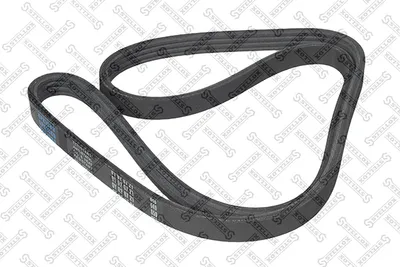 Correa trapecial poli V Audi A6 C8 Avant · Daimler XJ 40, 81 · Daimler DAIMLER XJ