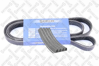 Correa trapecial poli V Audi A6 C8 Avant · Daimler XJ 40, 81 · Daimler DAIMLER XJ