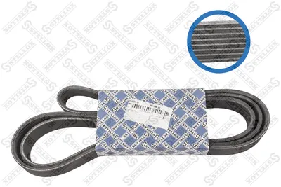 Correa trapecial poli V STELLOX 08-01988-SX