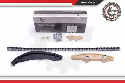Juego de cadena de distribución Ford TRANSIT Bus · Ford TRANSIT Van · Ford TRANSIT Platform/Chassis