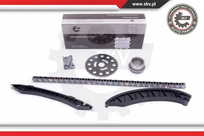 Juego de cadena de distribución Nissan PRIMASTAR Bus · Nissan PRIMASTAR Van · Nissan QASHQAI I