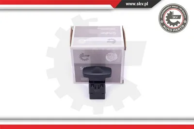 Interruptor intermitente de aviso Renault CLIO III Grandtour