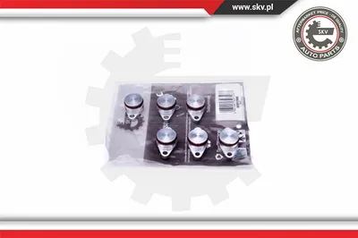 Kit de reparación, módulo de tubo de aspiración Bmw 7 · Bmw 5 · Bmw 5 Touring