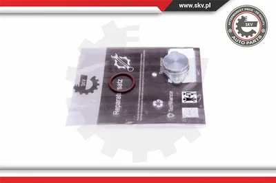 Kit de reparación, módulo de tubo de aspiración ESEN SKV 49SKV572
