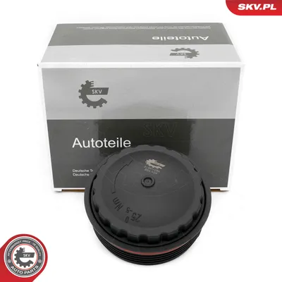 Cubierta, caja filtro de aceite Ford TRANSIT Bus · Ford TRANSIT Van · Ford TRANSIT Platform/Chassis