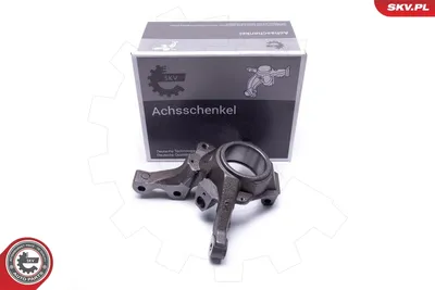 Muñón del eje, suspensión de rueda Renault CLIO I · Renault CLIO II · Renault CLIO I Hatchback Van