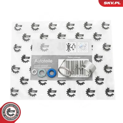 kit de reparación, inyector Audi A4 B6 · Audi A4 B6 Avant · Audi A3