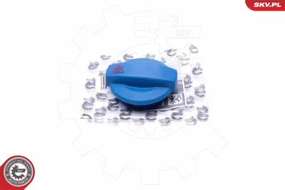Tapón, depósito de refrigerante Audi 90 B3 · Audi A4 B5 · Audi A6 C4