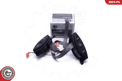 Interruptor de control, regulador de velocidad Mercury MOUNTAINEER · Ford Usa EXPLORER · Ford Usa EXPLORER SPORT TRAC Pickup