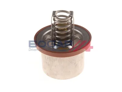 Termostato, refrigerante Porsche CAYENNE