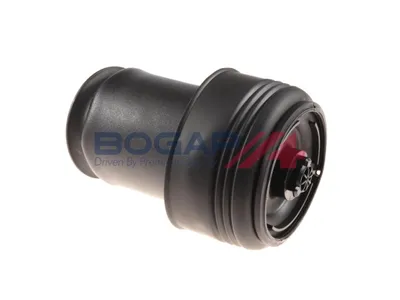 Muelle neumático, suspensión Bmw X5 · Bmw X6