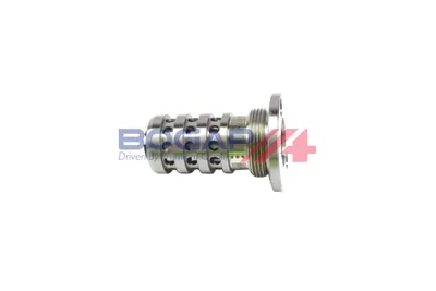 Válvula control, ajuste de levas Audi A5 · Audi Q5 · Seat IBIZA IV SC