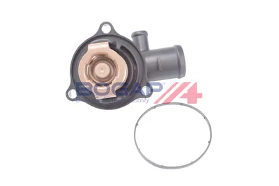 Termostato, refrigerante Vw PHAETON · Vw TOUAREG · Audi A8 D3