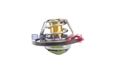 Termostato, refrigerante Audi 80 B4 Saloon · Audi 80 B4 Avant · Vw JETTA I