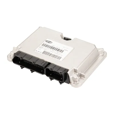 Einspritzanlagensteuergerät Motormanagement Magneti Marelli