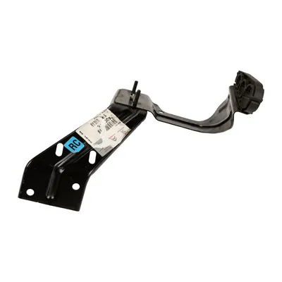Halter für den Servolenkungsölbehälter