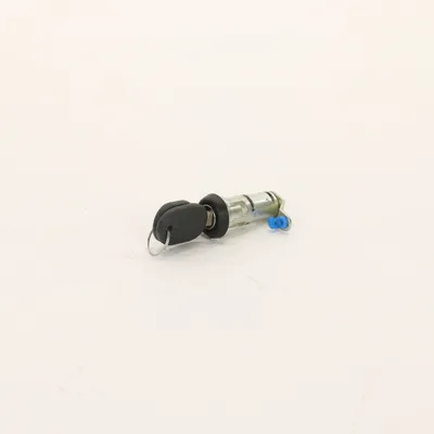 Schließzylinder mit Schlüssel (1x)