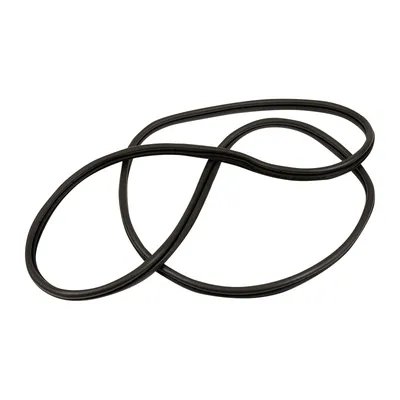 Türdichtung links