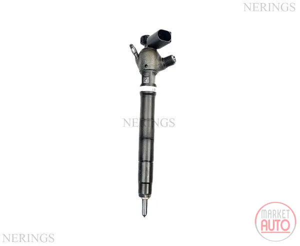 Diesel injectors remanufactured (Delphi-R)